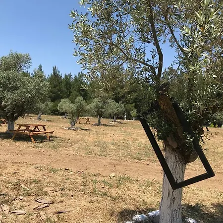 Baska Bir Yer Butik Hotel Aydin