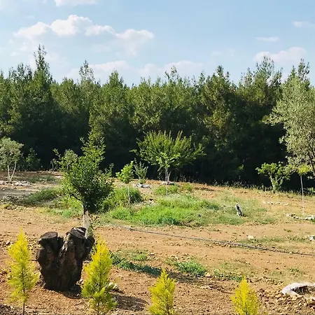 Baska Bir Yer Butik Ξενοδοχείο Αϊδίνιο