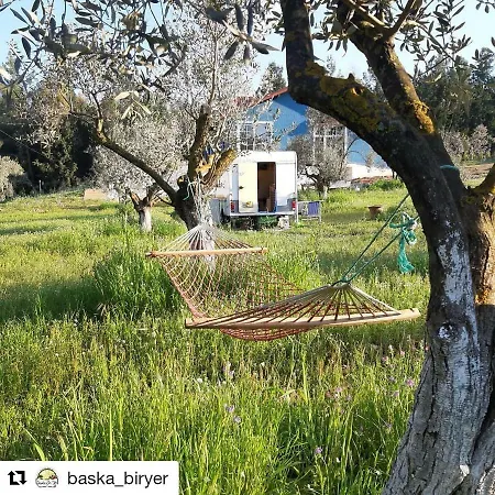 Baska Bir Yer Butik Αϊδίνιο