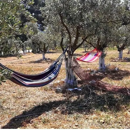 Ξενοδοχείο Baska Bir Yer Butik Αϊδίνιο